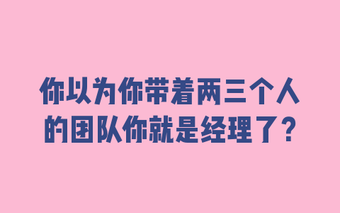 你以为你带着两三个人的团队你就是经理了？