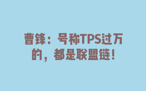 曹锋：号称TPS过万的，都是联盟链！