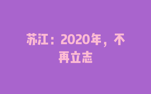 苏江：2020年，不再立志