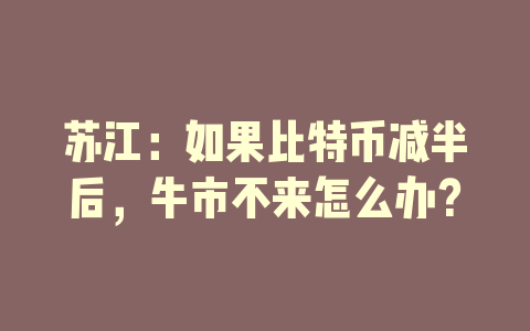 苏江：如果比特币减半后，牛市不来怎么办？